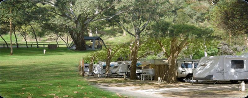 Hotel Adelaide Brownhill Creek Tourist Park Exterior foto